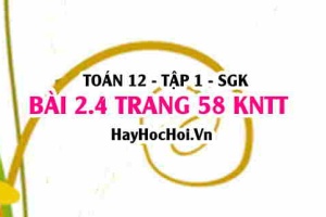 Bài 2.4 trang 58 Toán 12 tập 1 Kết nối tri thức